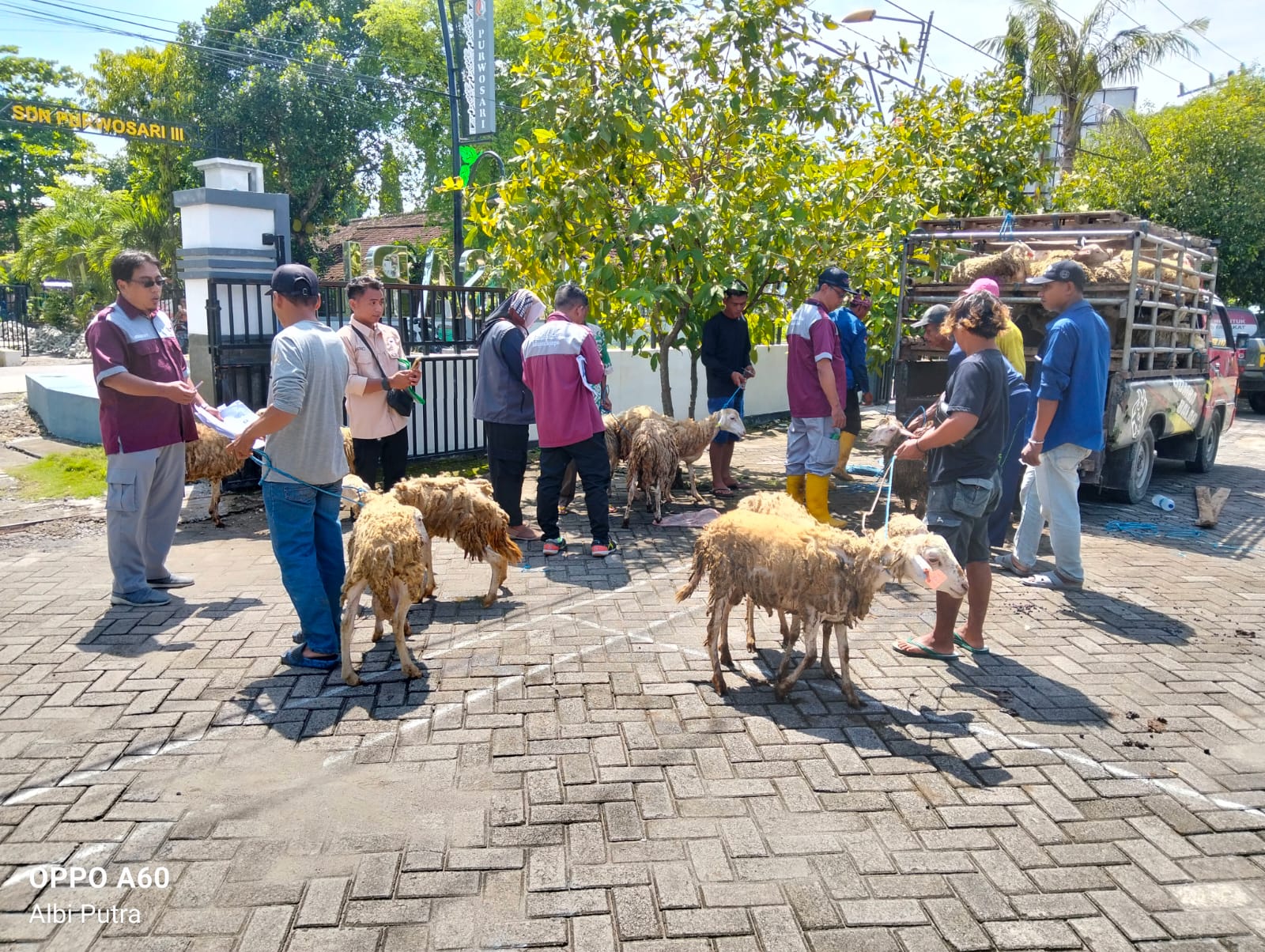 PEMBAGIAN DOMBA KESEJAHTERAAN TAHUN 2025
